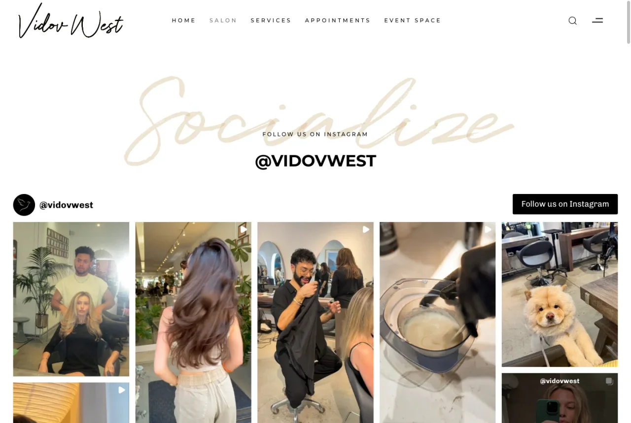 Vidov West Salon: Salon gallery website screenshot