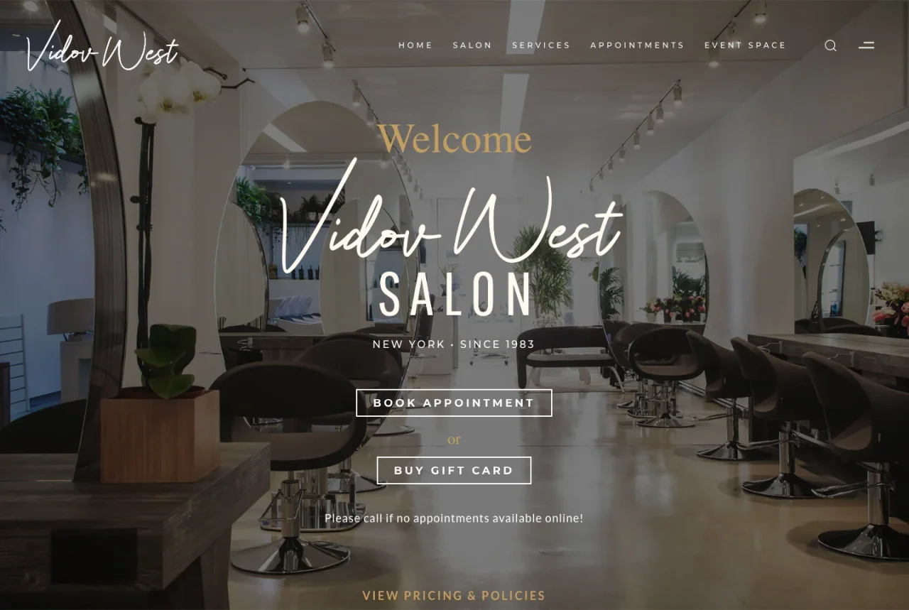 Vidov West Salon: Homepage website screenshot