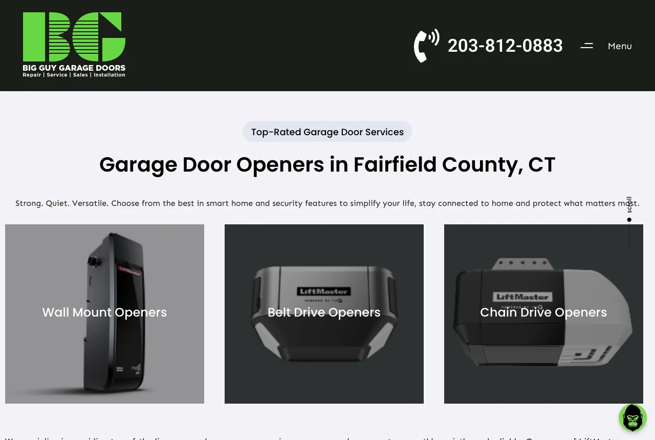 Big Guy Garage Doors: Garage Door Openers website screenshot