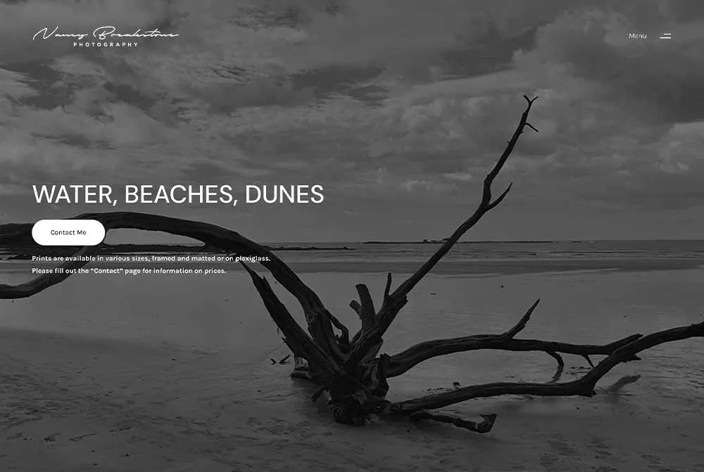 Nancy Breakstone Photography: Homepage website screenshot