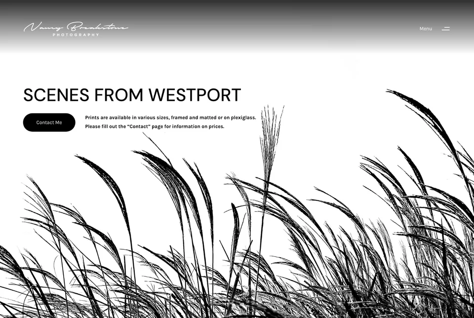 Nancy Breakstone Photography: Scenes of Westport website screenshot