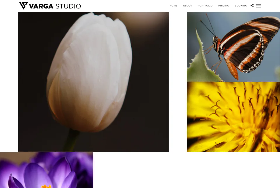 Studio Varga: Macro website screenshot